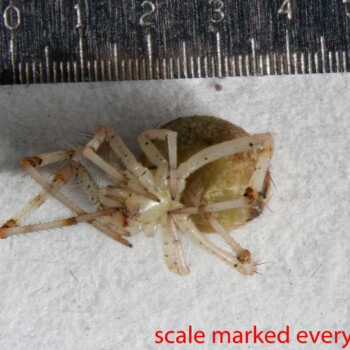 BIN-_Collected-19-Feb-2015