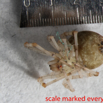 BIN-_Collected-19-Feb-2015