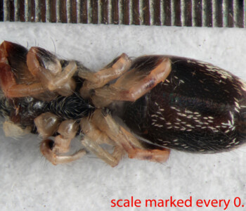 BIN-_Collected-19-Feb-2015