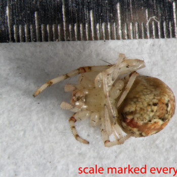 BIN-_Collected-02-Feb-2015